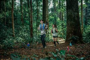 BIB: 
                            <button type="button" onclick="openModal(26131219)" class="btn btn-primary btn-sm float-right btn-popup" data-toggle="modal" data-target=".modal-high-quality">
                        <i class="fas fa-shopping-cart"></i> Add to Cart
                    </button>
                                            <button type="button" onclick="isThisMe(26131219, true)" class="btn btn-success btn-sm float-right btn-popup btn-isme hidden" data-toggle="tooltip" data-placement="bottom" title="นี่คือรูปของคุณใช่ไหม คลิกที่นี่เพื่อเอาเข้าอัลบั้ม">
                        <i class="fas fa-plus"></i> Add to album
                    </button>
                    <button type="button" onclick="isThisMe(26131219, false)" class="btn btn-warning btn-sm float-right btn-popup btn-isnotme hidden">
                        <i class="fas fa-ban"></i> Remove from album
                    </button>